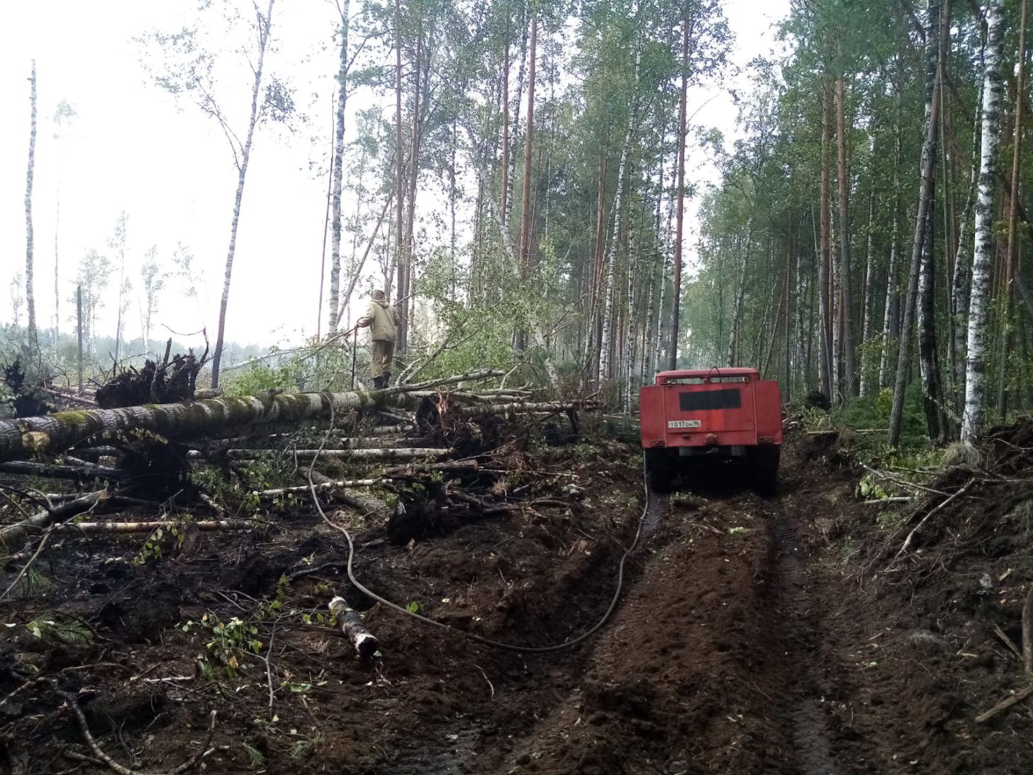 Справились с огнем общими силами. В Серовском городском округе  ликвидировали последний лесной пожар | 06.09.2021 | Серов - БезФормата